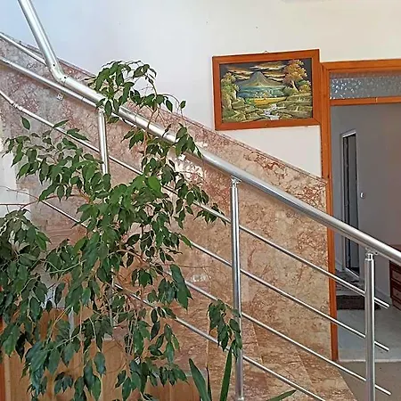 Sercan Haciobasi